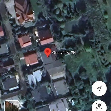 Zielona * Osieczna